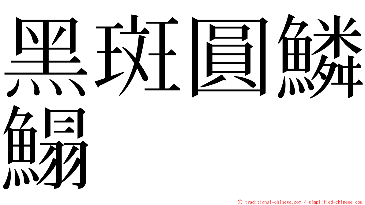 黑斑圓鱗鰨 ming font