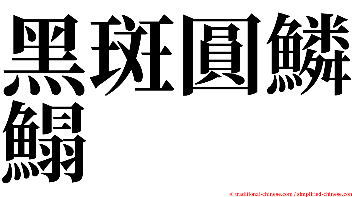 黑斑圓鱗鰨 serif font