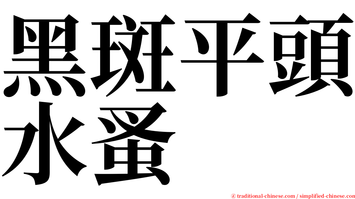 黑斑平頭水蚤 serif font