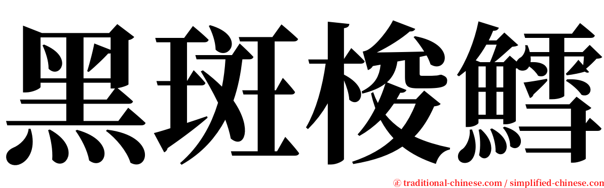 黑斑梭鱈 serif font