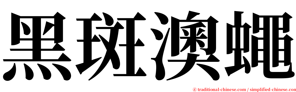 黑斑澳蠅 serif font