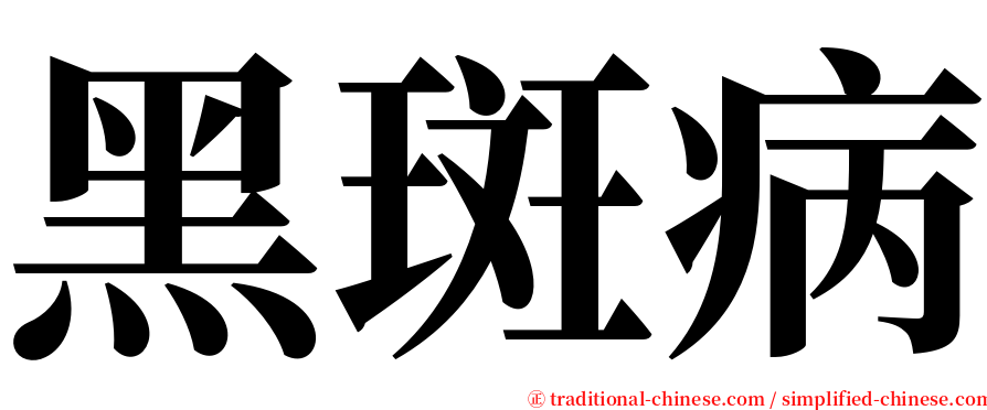 黑斑病 serif font