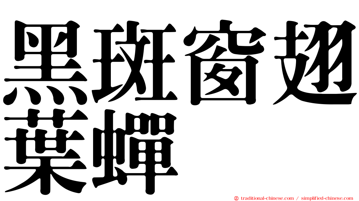 黑斑窗翅葉蟬
