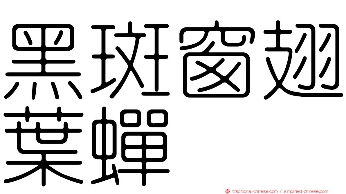 黑斑窗翅葉蟬