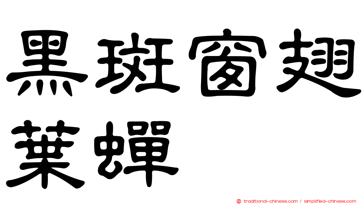 黑斑窗翅葉蟬