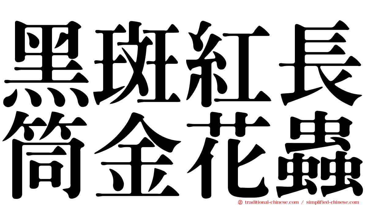 黑斑紅長筒金花蟲