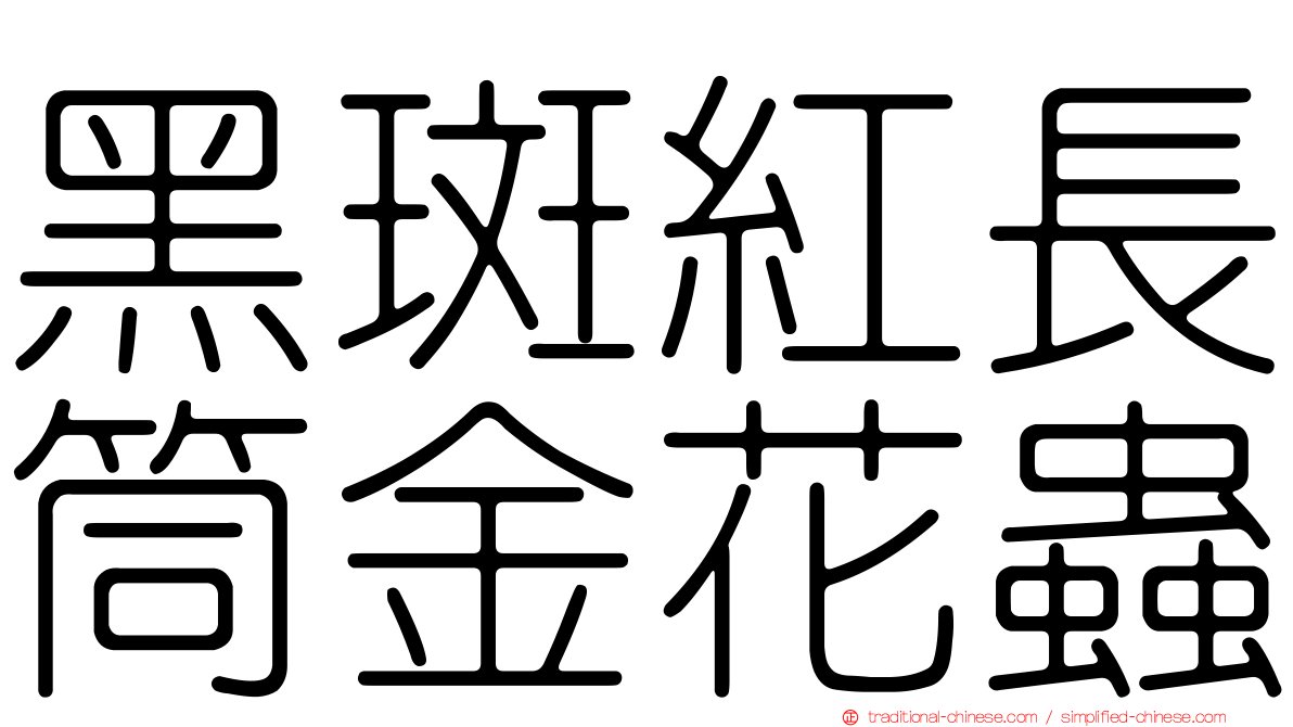 黑斑紅長筒金花蟲