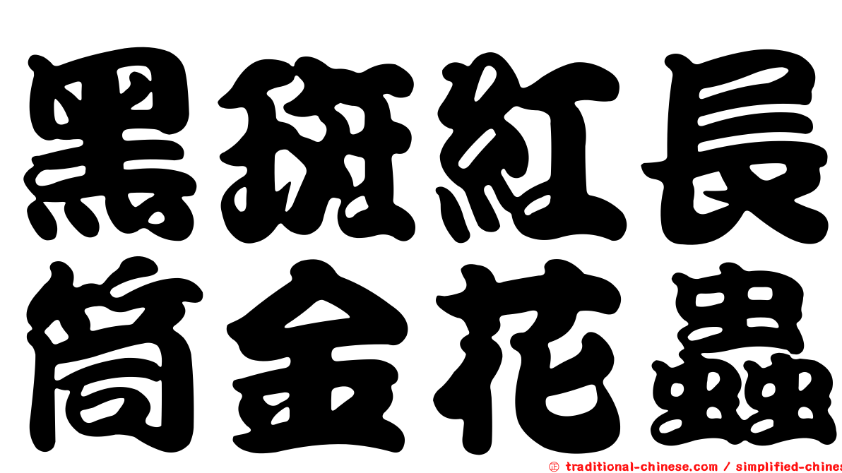 黑斑紅長筒金花蟲