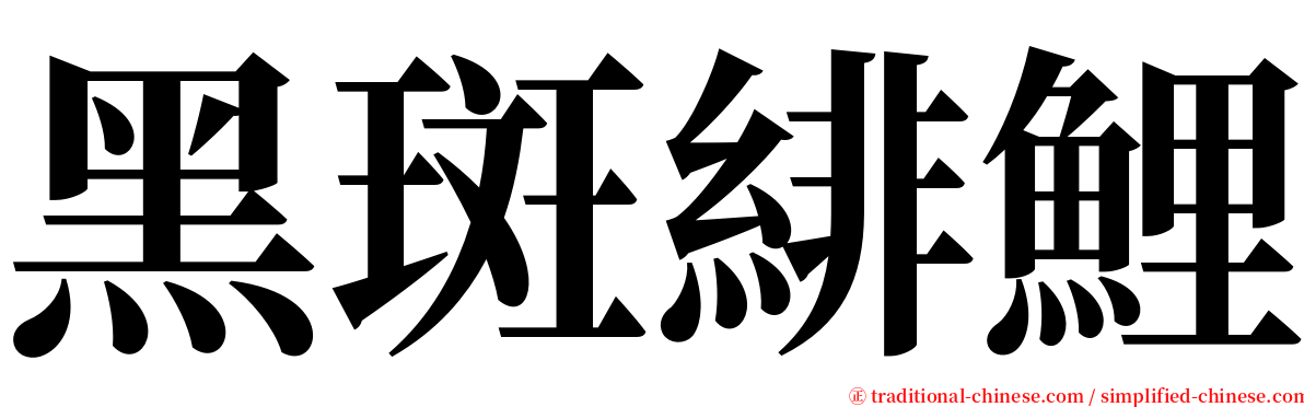 黑斑緋鯉 serif font