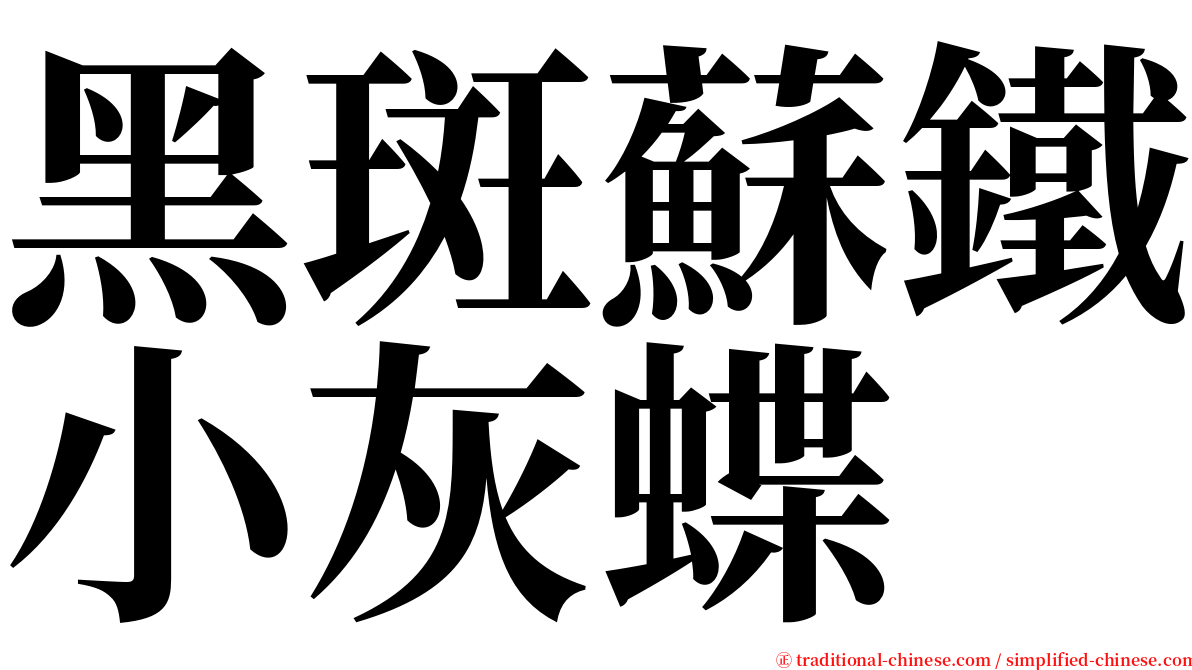 黑斑蘇鐵小灰蝶 serif font