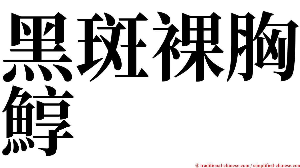 黑斑裸胸鯙 serif font