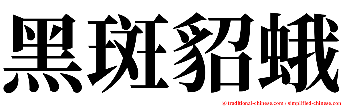 黑斑貂蛾 serif font