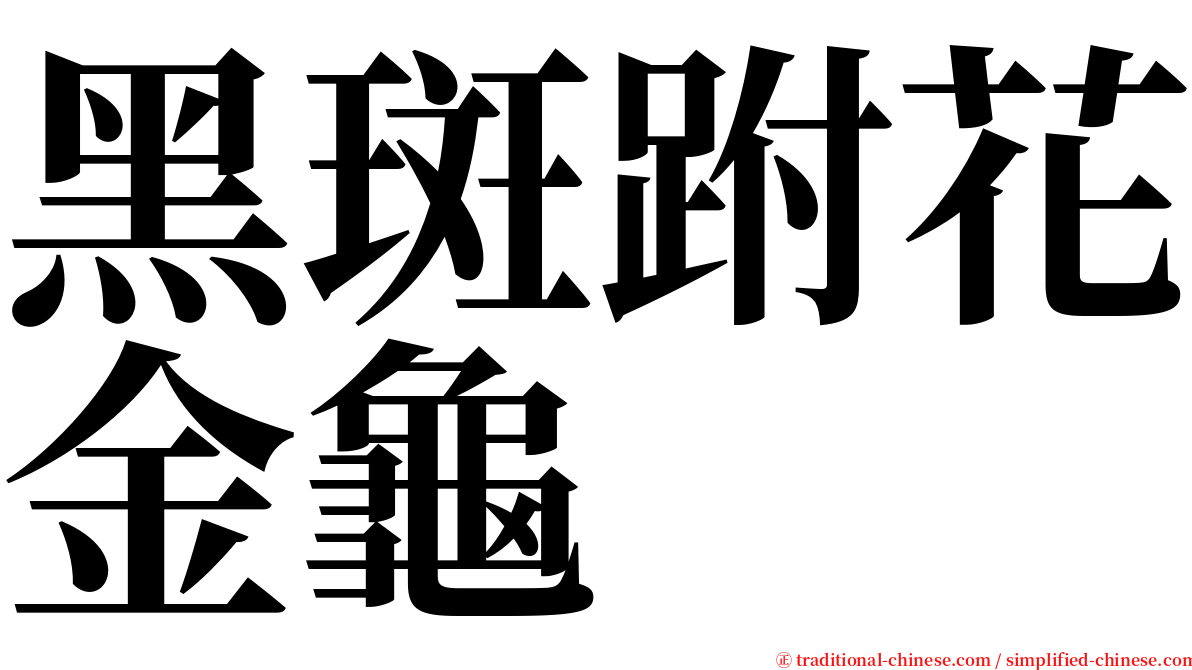 黑斑跗花金龜 serif font