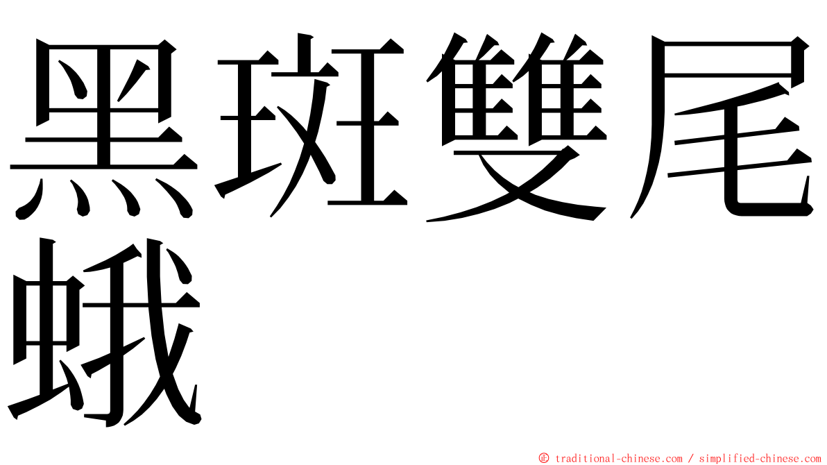 黑斑雙尾蛾 ming font