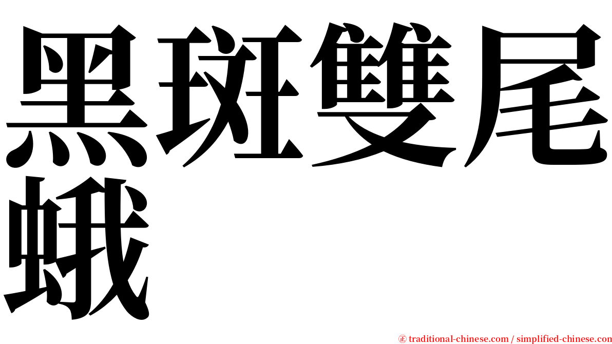 黑斑雙尾蛾 serif font