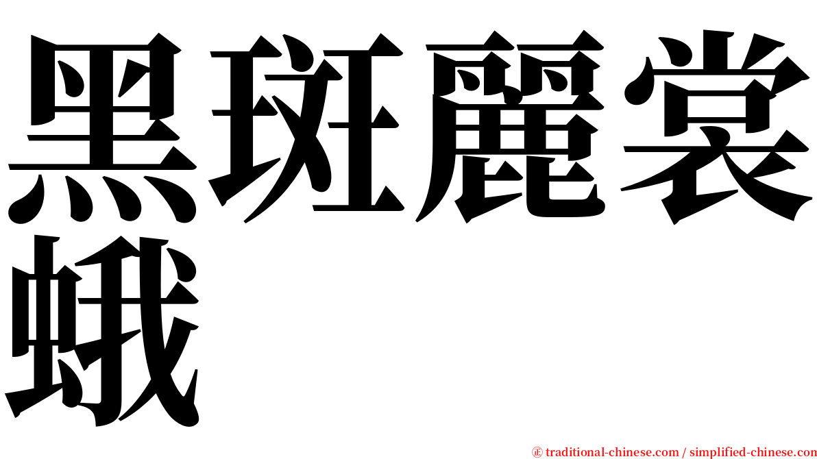 黑斑麗裳蛾 serif font