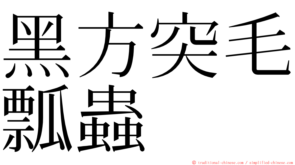 黑方突毛瓢蟲 ming font