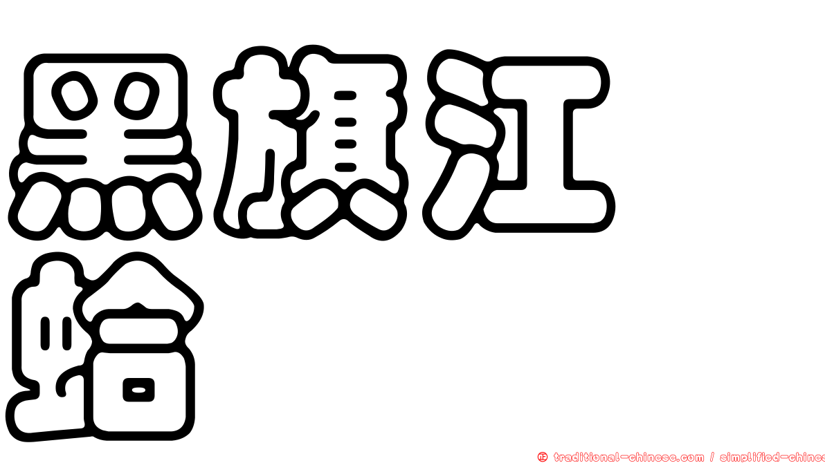 黑旗江珧蛤