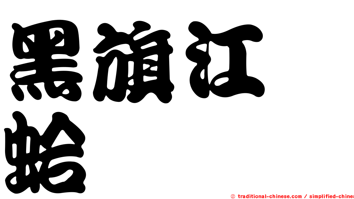 黑旗江珧蛤
