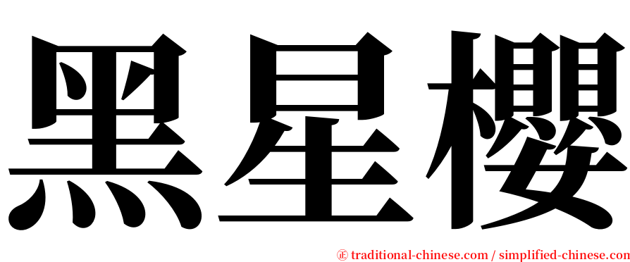 黑星櫻 serif font