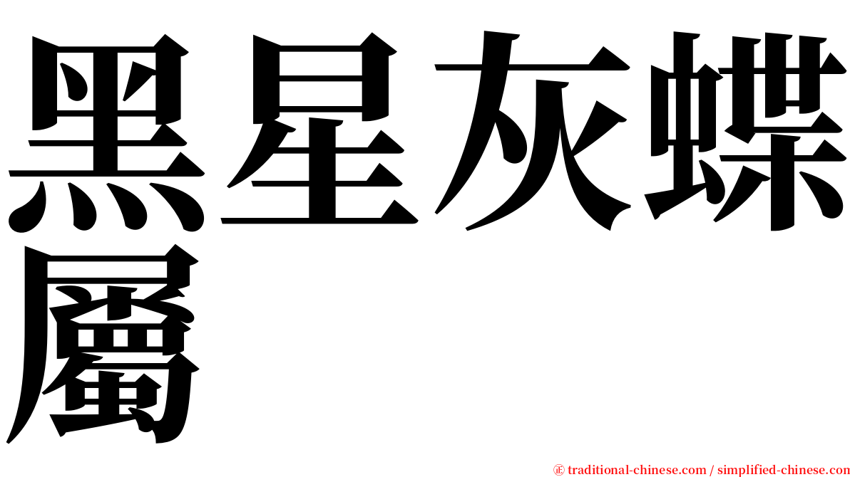 黑星灰蝶屬 serif font