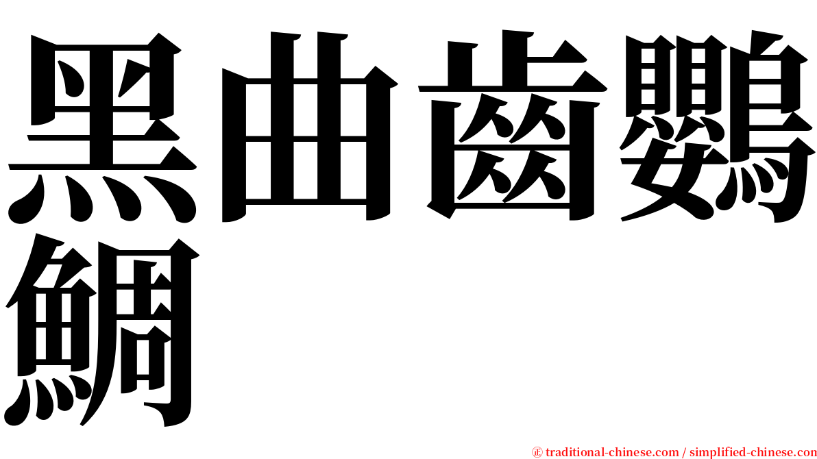 黑曲齒鸚鯛 serif font