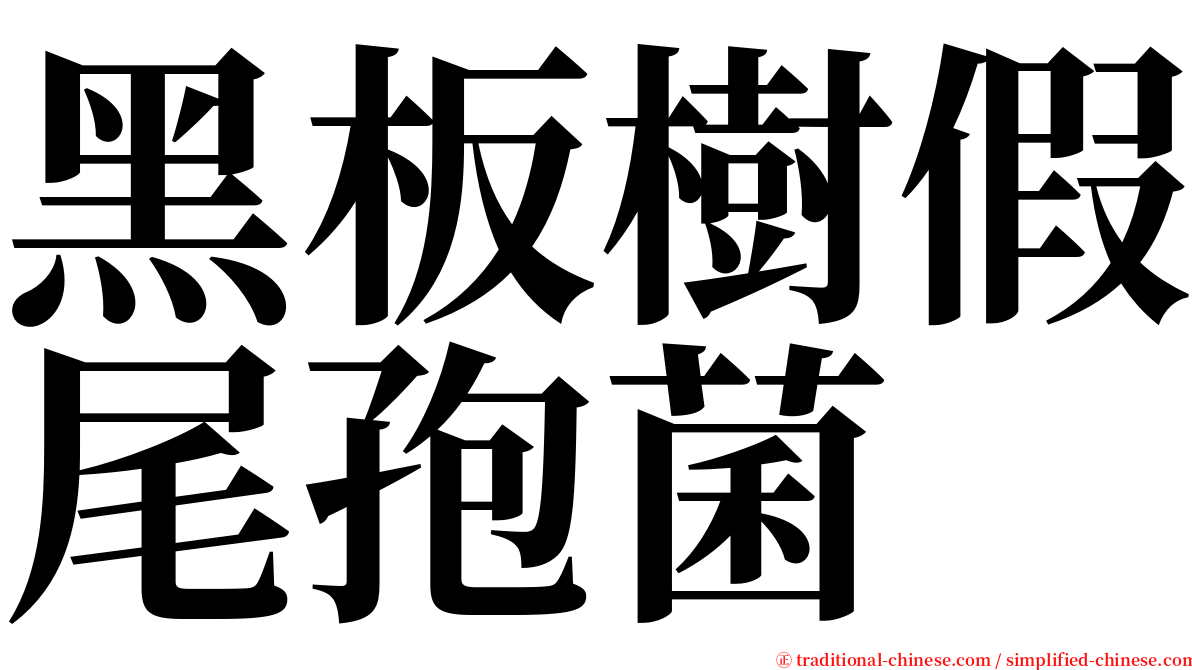 黑板樹假尾孢菌 serif font