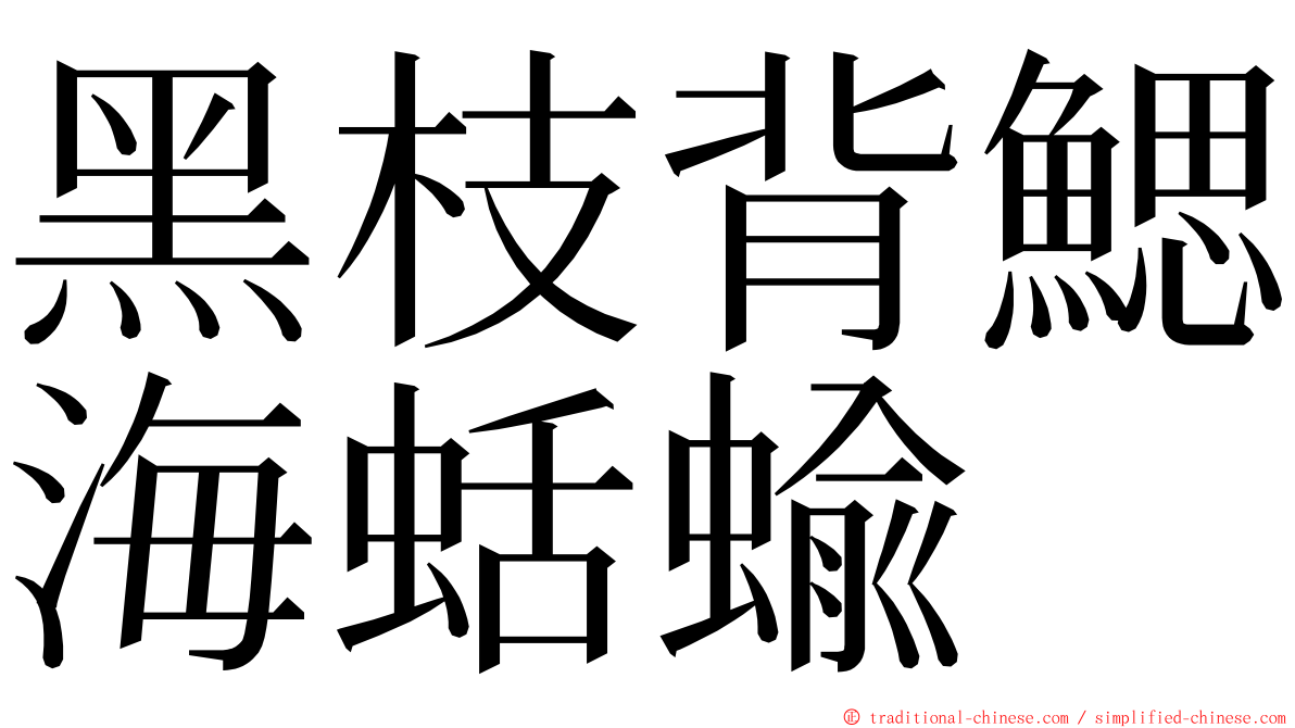 黑枝背鰓海蛞蝓 ming font