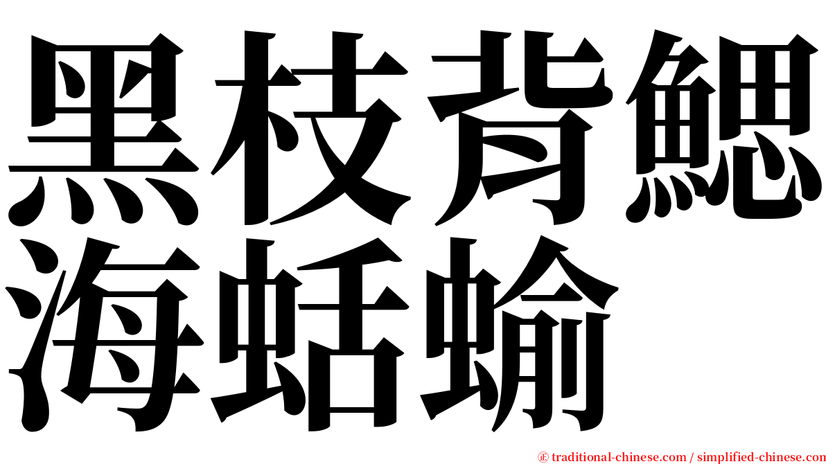 黑枝背鰓海蛞蝓 serif font