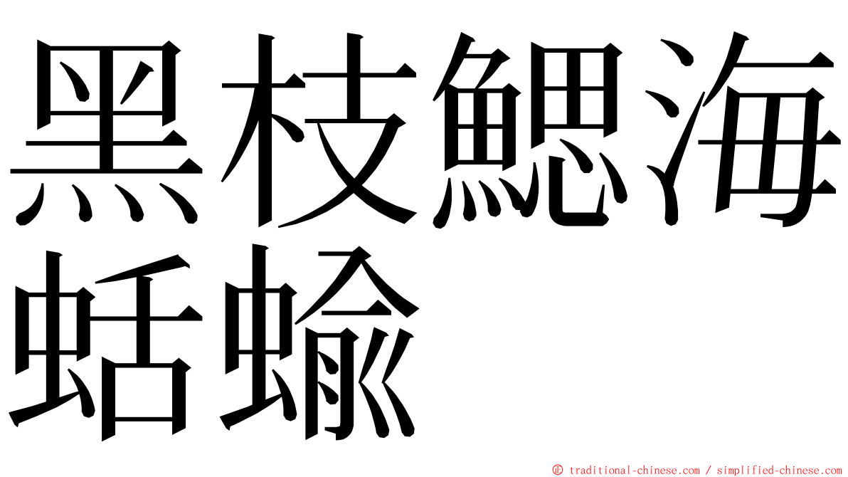 黑枝鰓海蛞蝓 ming font