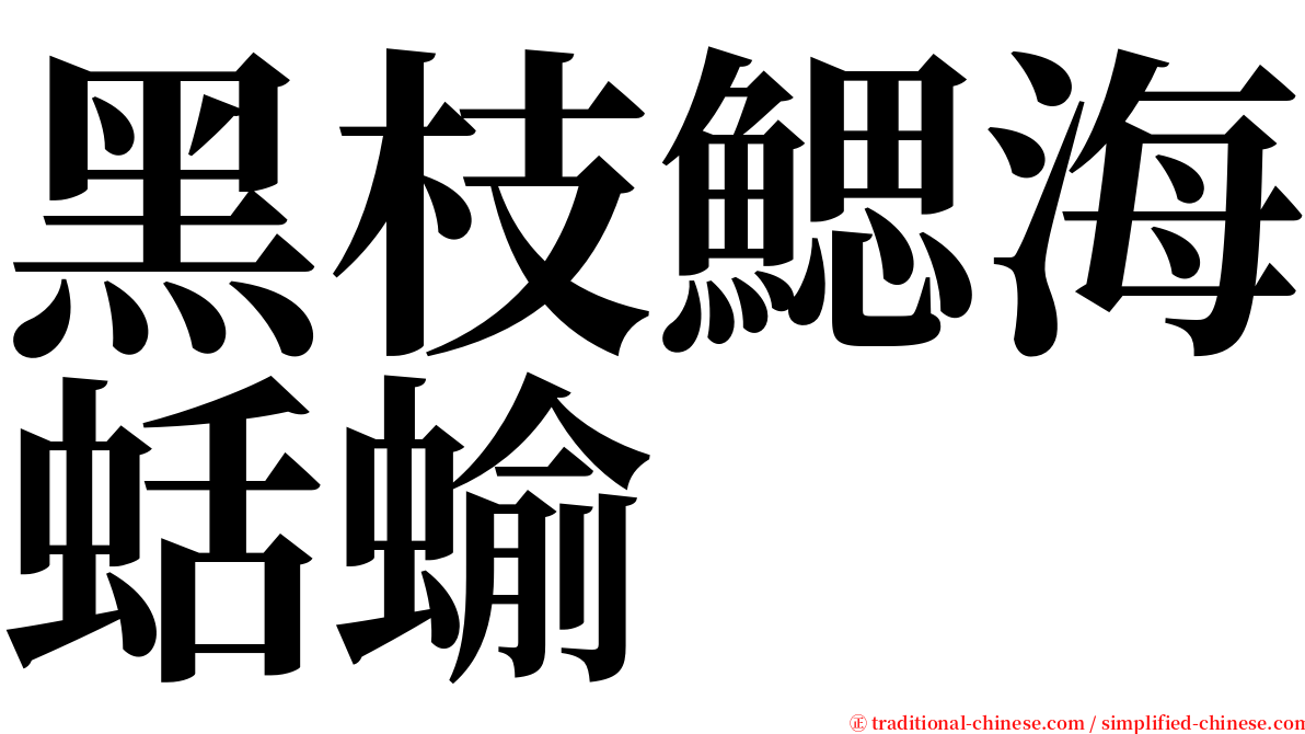 黑枝鰓海蛞蝓 serif font