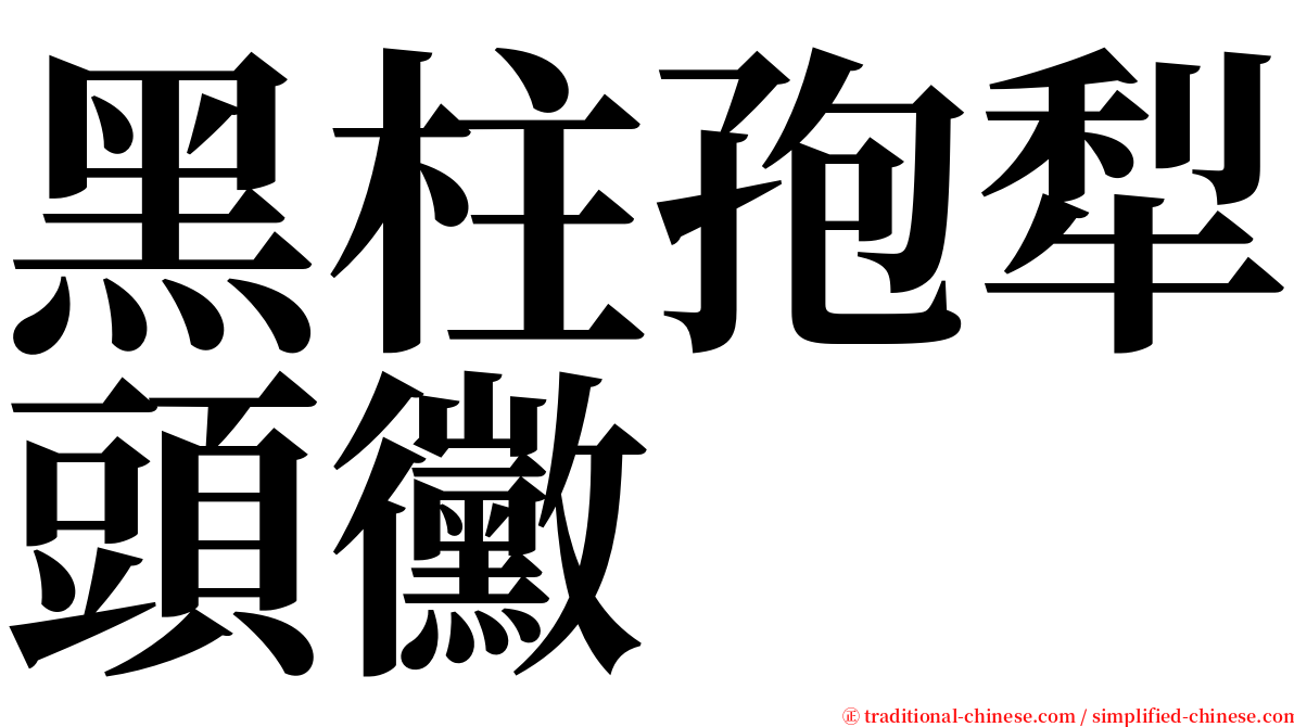 黑柱孢犁頭黴 serif font