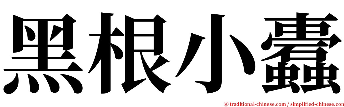 黑根小蠹 serif font