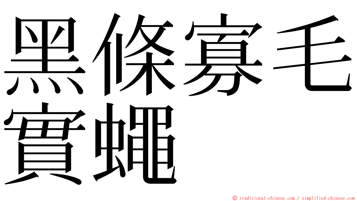 黑條寡毛實蠅 ming font