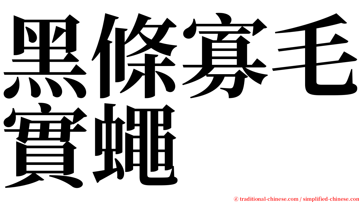 黑條寡毛實蠅 serif font