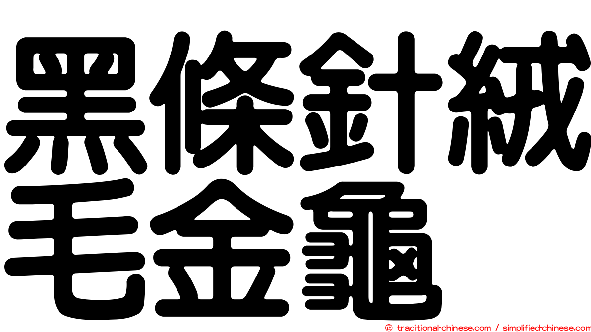 黑條針絨毛金龜