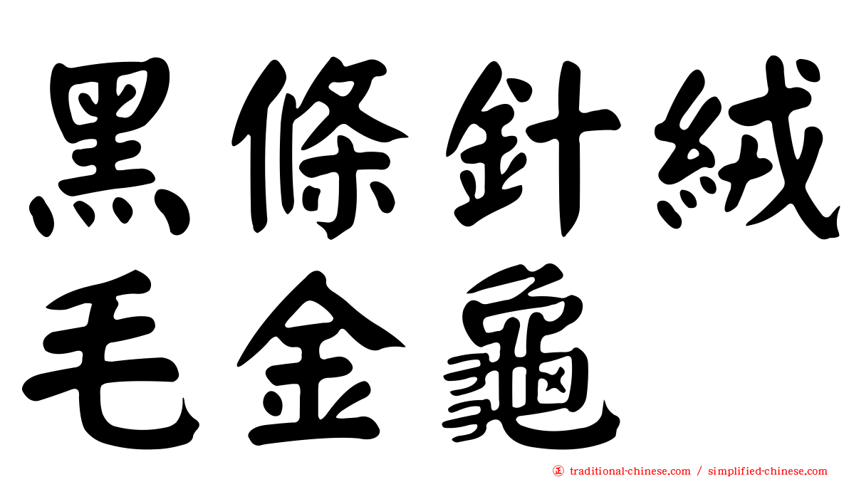 黑條針絨毛金龜