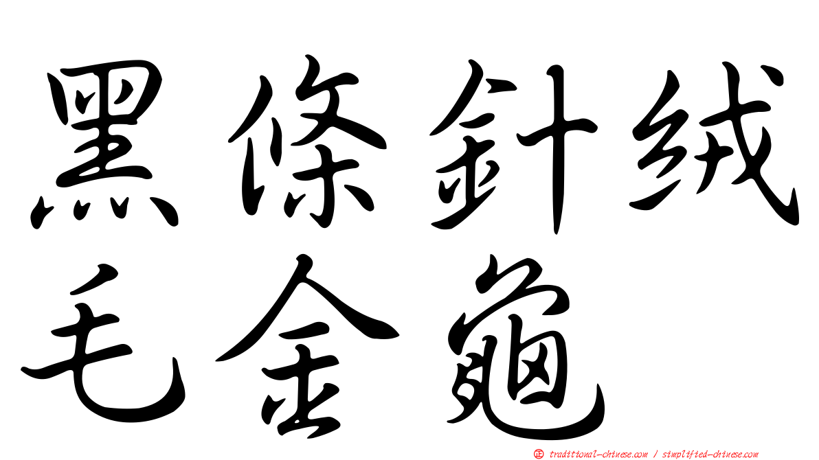 黑條針絨毛金龜