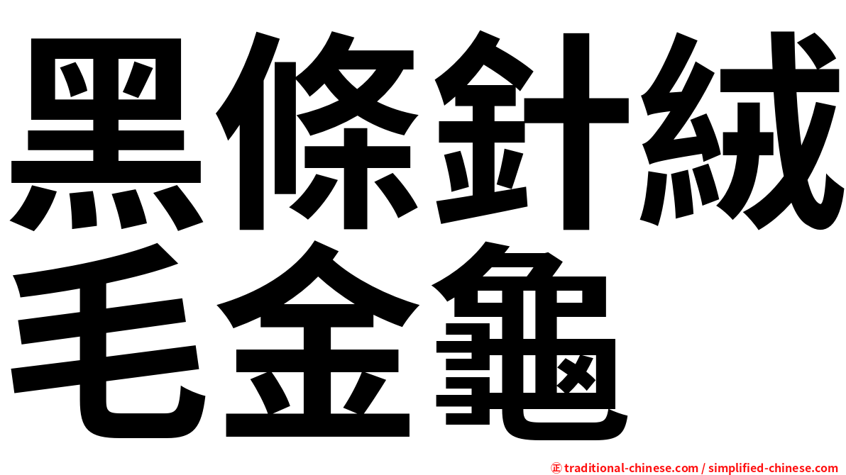 黑條針絨毛金龜