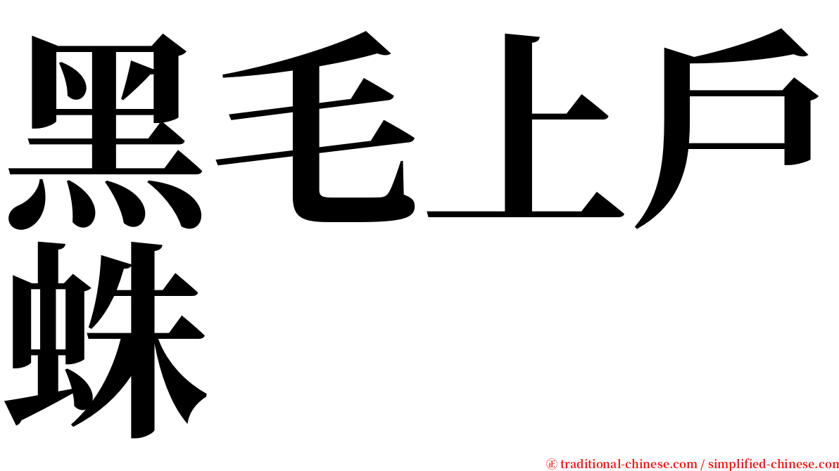 黑毛上戶蛛 serif font