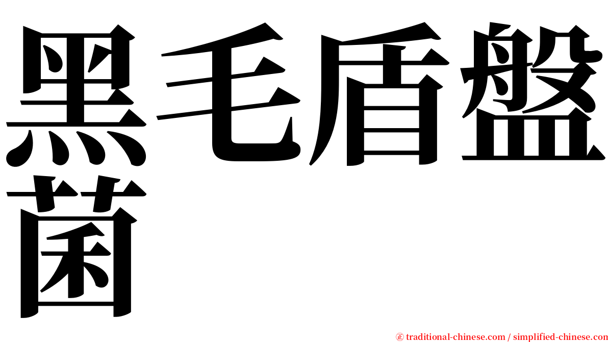 黑毛盾盤菌 serif font