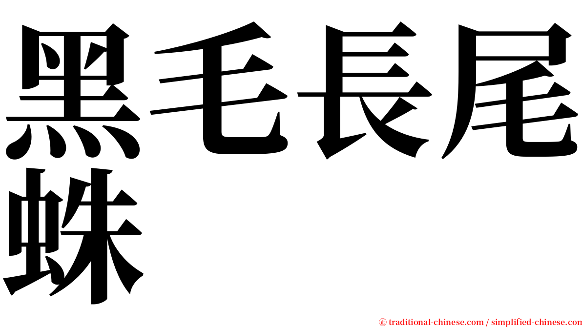 黑毛長尾蛛 serif font