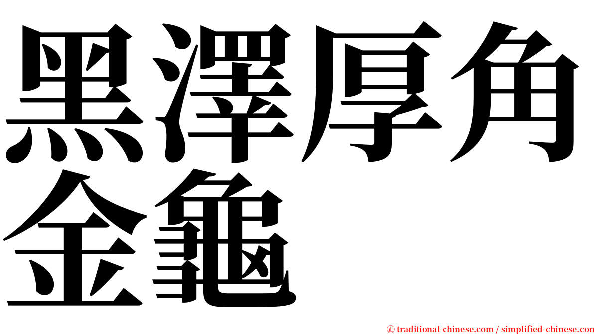 黑澤厚角金龜 serif font