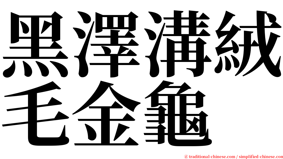 黑澤溝絨毛金龜 serif font