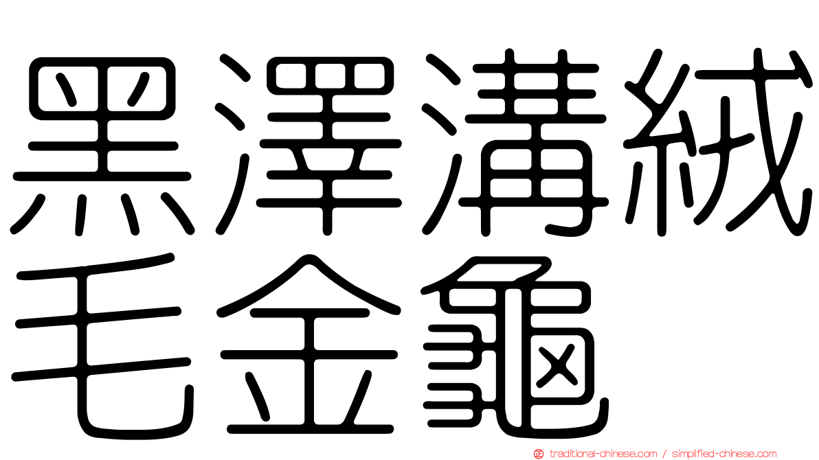 黑澤溝絨毛金龜