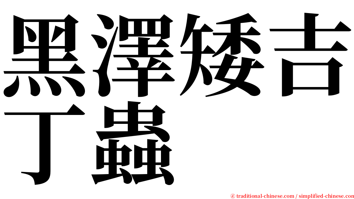 黑澤矮吉丁蟲 serif font