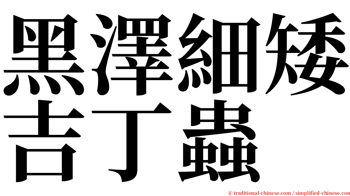 黑澤細矮吉丁蟲 serif font