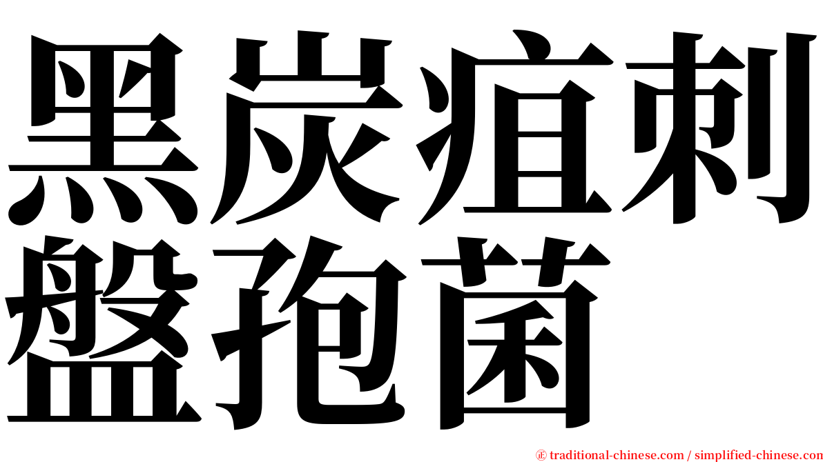 黑炭疽刺盤孢菌 serif font