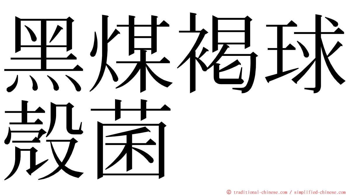 黑煤褐球殼菌 ming font