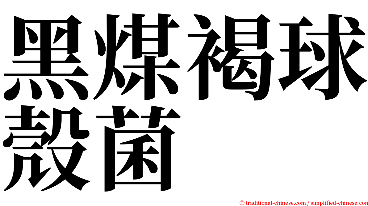 黑煤褐球殼菌 serif font